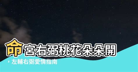 右弼入命宮|左輔星與右弼星之星性及配屬四化的靈動